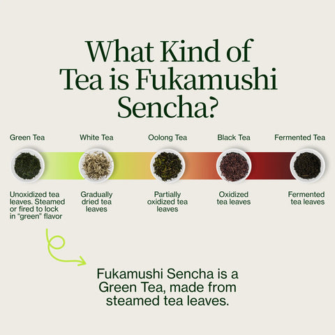 Sencha Okumidori Grüner Tee