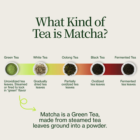 Matcha Yame Okumidori Miyako