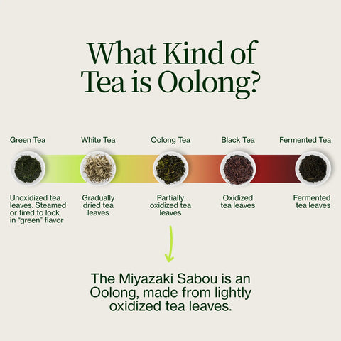 Thé Oolong des Hautes Montagnes Miyazaki