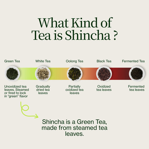 Shincha Nohana Chiran 2026